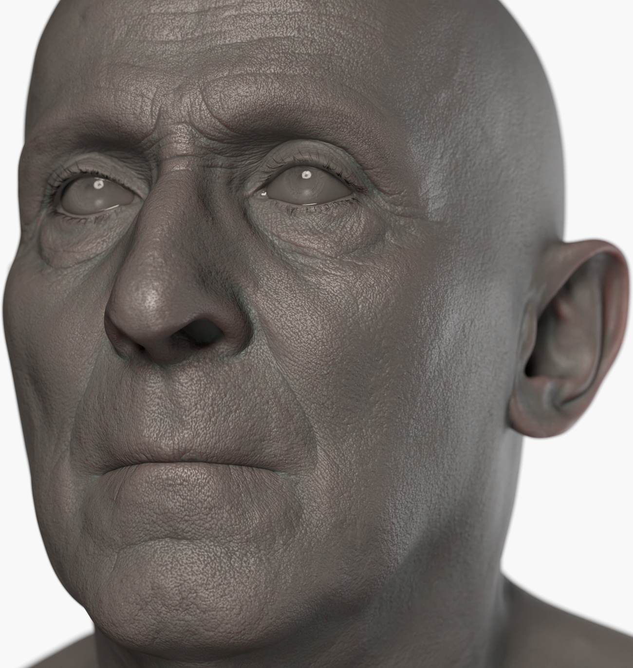 Clay render of an older male 3D head scan showing fine skin pore and wrinkle surface detail